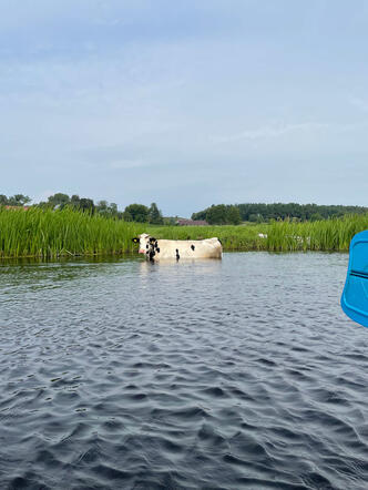 Niespodzianka na kajakach Niespodzianka na kajakach