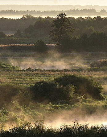 Rozlewiska Rozlewiska